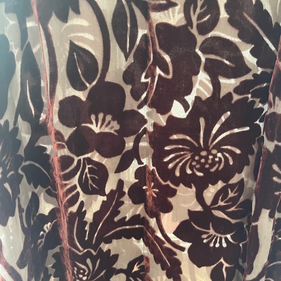 Vintage Citron of Santa Monica silk cut velvet sheer maxi dress - Picture 4 of 4